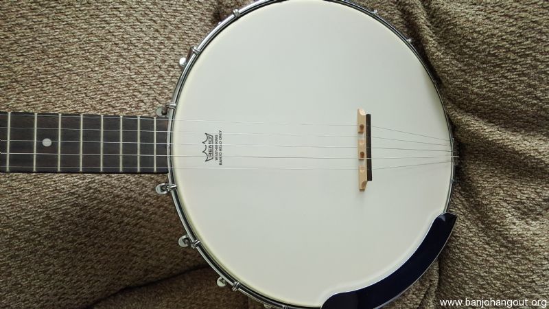 Gretsch 1883 banjo new arrivals