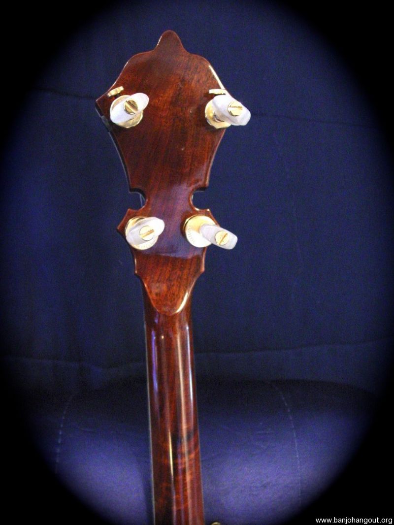 For Sale STELLING STAGHORN from JLS BANJOS COLLECTION Item 1