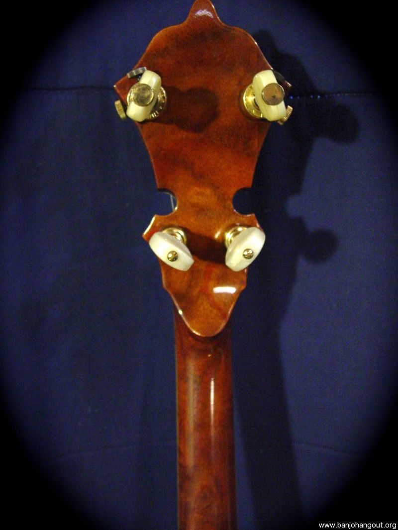 Stelling staghorn banjo for sale cheap