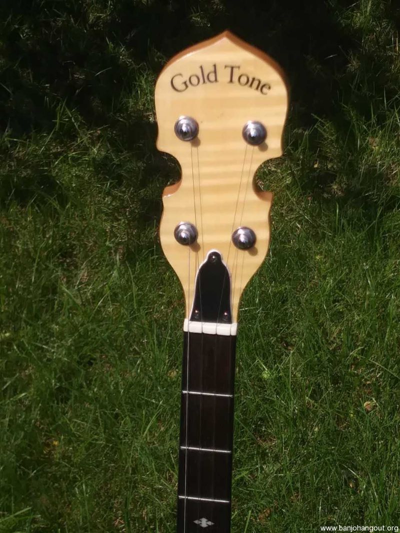 Gold Tone Long Neck Banjo Used Banjo For Sale at
