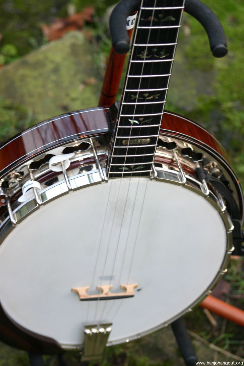 Prucha 'Fall in Love' Banjo For sale in UK PRICE REDUCED Used Banjo