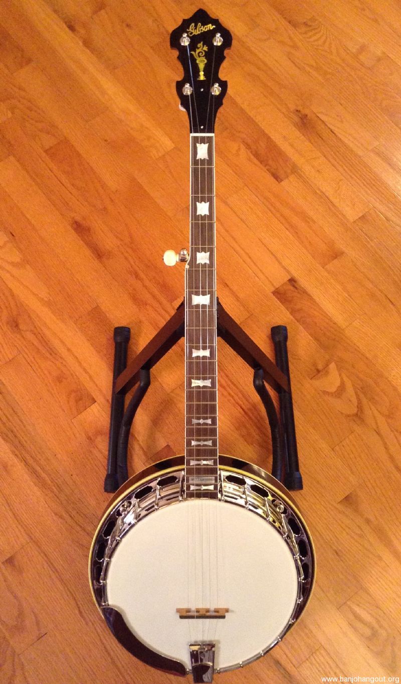 banjos for sale