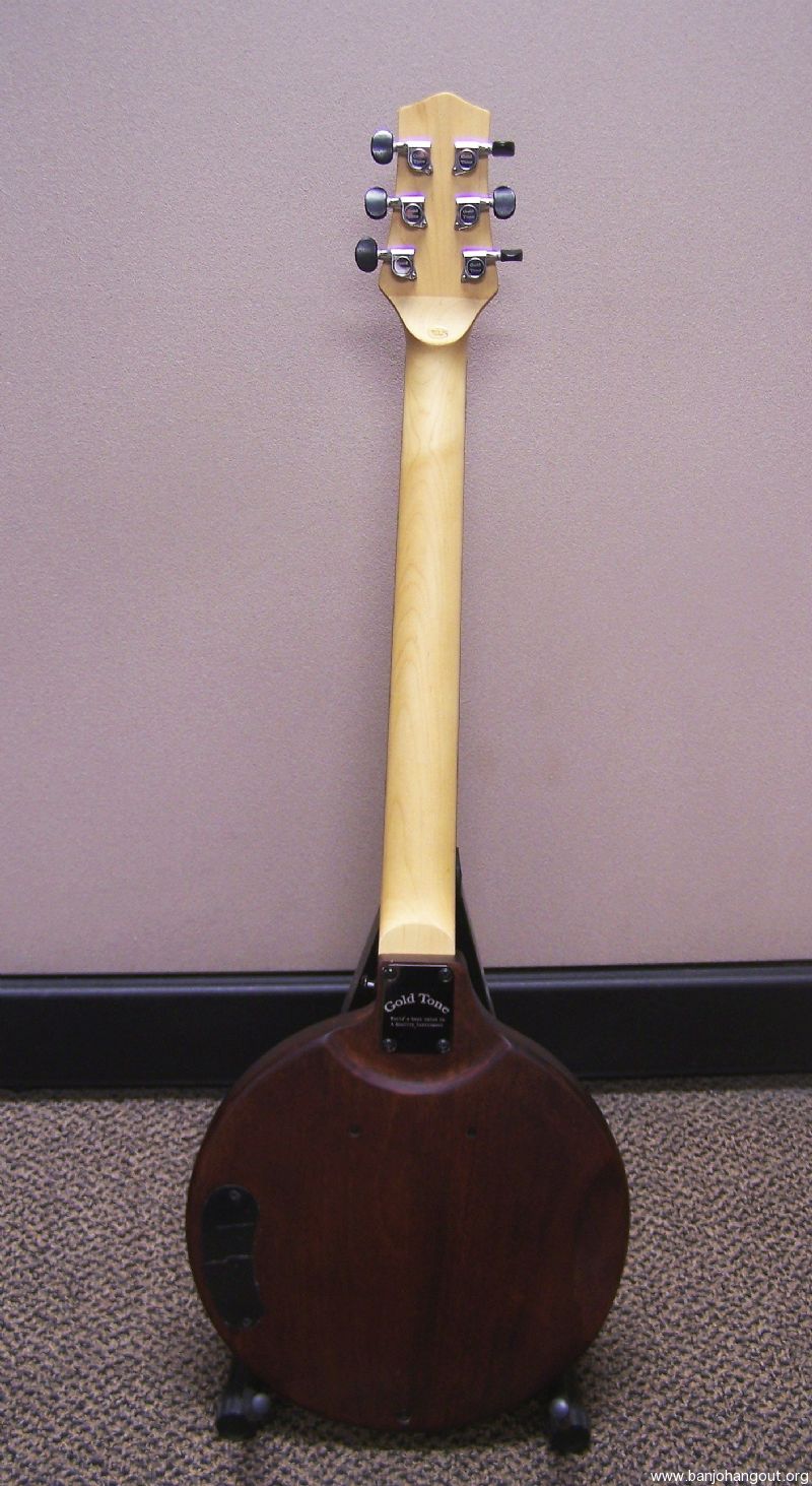 Electric banjitar hotsell