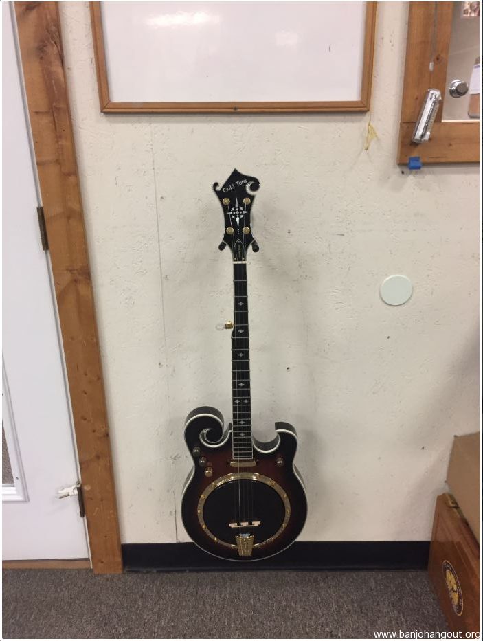 Gold Tone EBM5+ Professional Electric Banjo ////// Factory Blemish