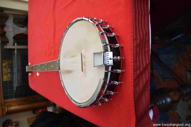 Bacon belmont banjo hotsell