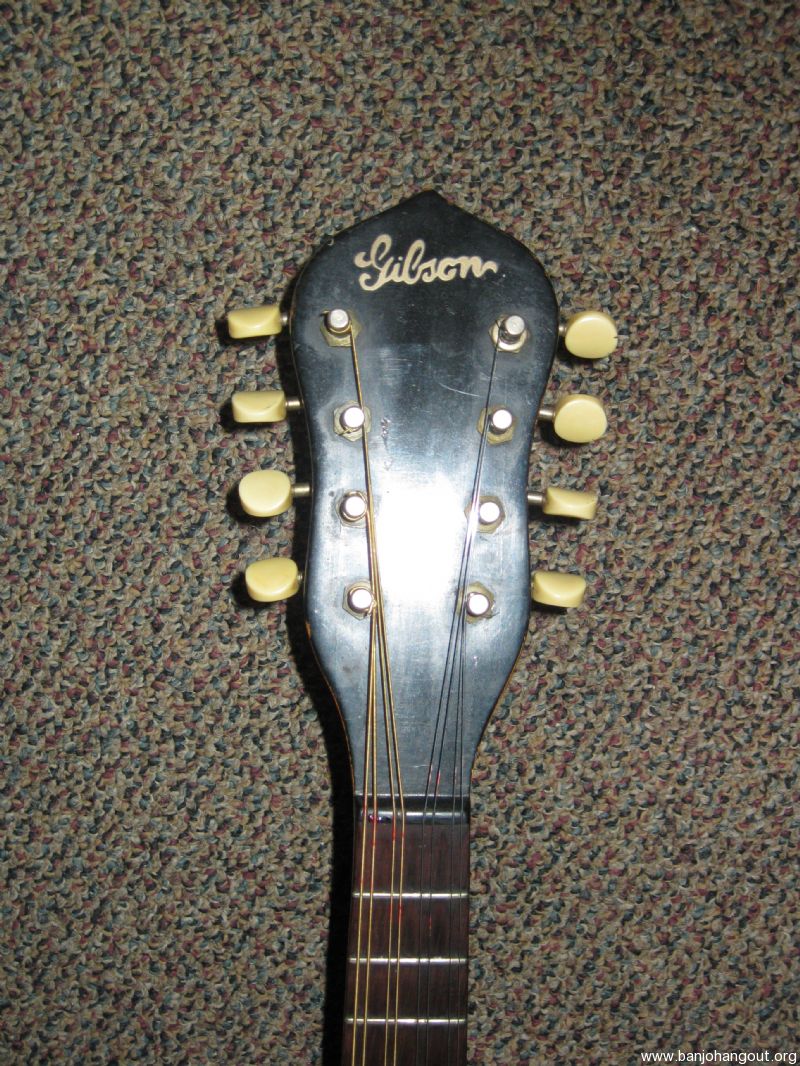 vega mandolin banjo serial numbers vega mandolin banjo serial numbers
