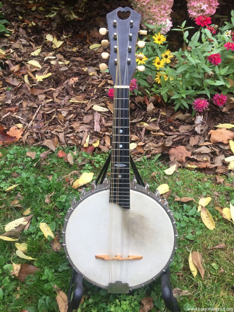 vega mandolin banjo serial numbers vega mandolin banjo serial numbers
