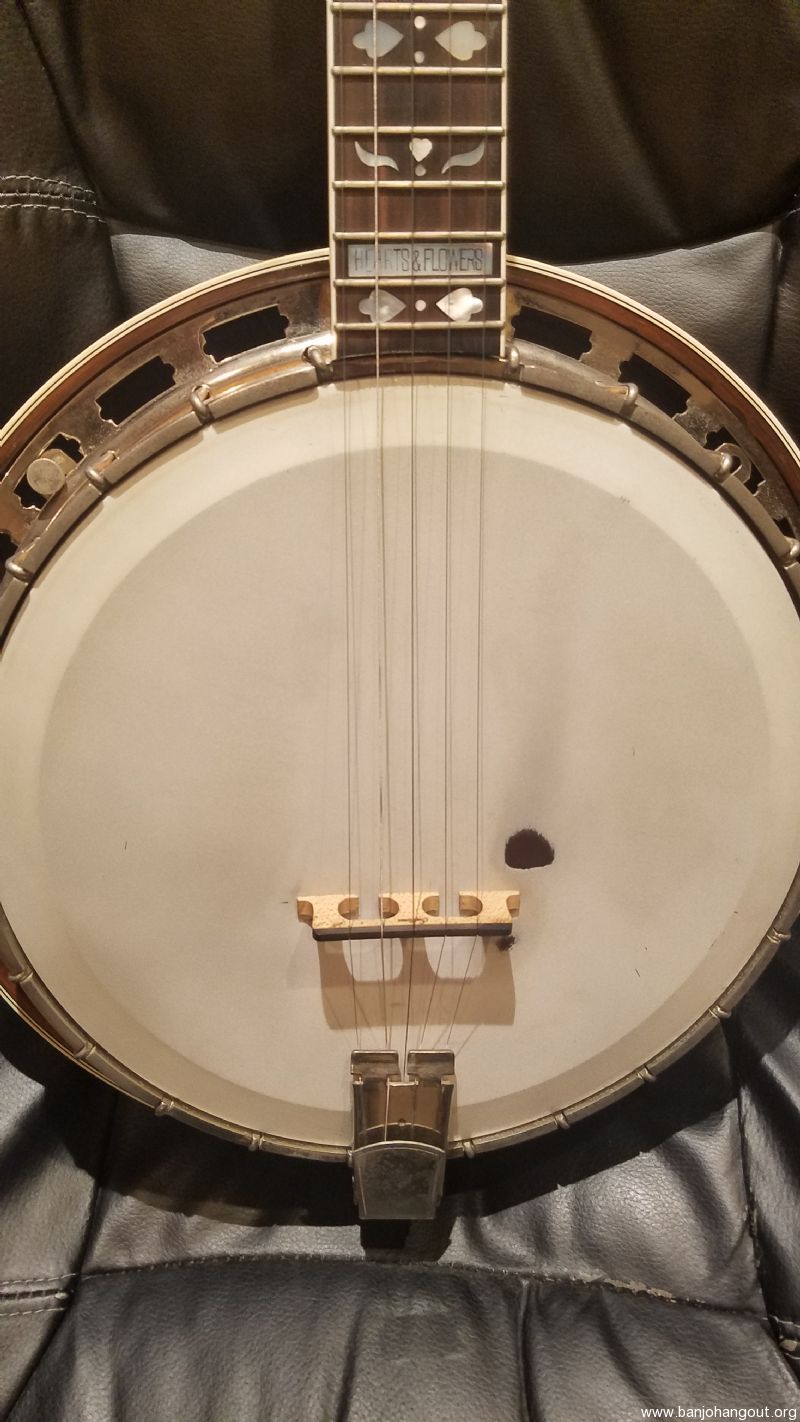 vintage goldstar archtop Used Banjo For Sale at