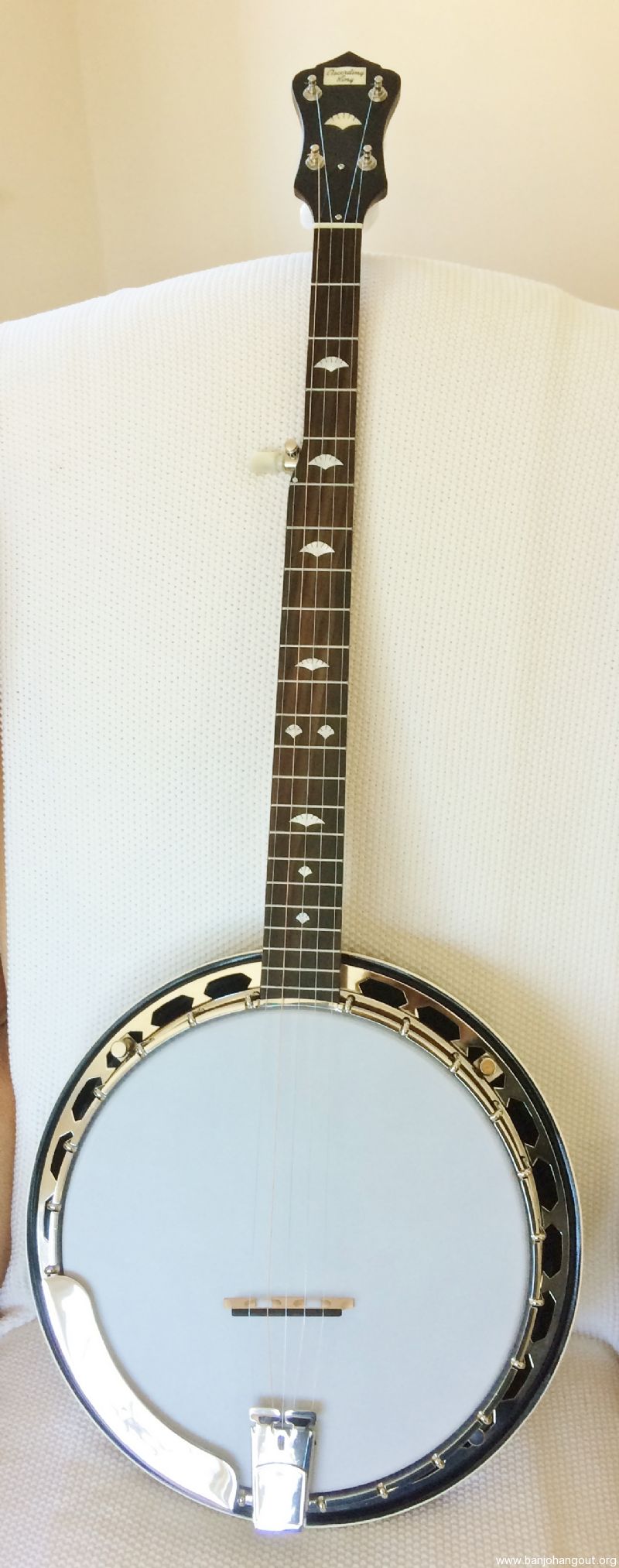 recording king rk r20 songster banjo recording king rk r20 songster banjo