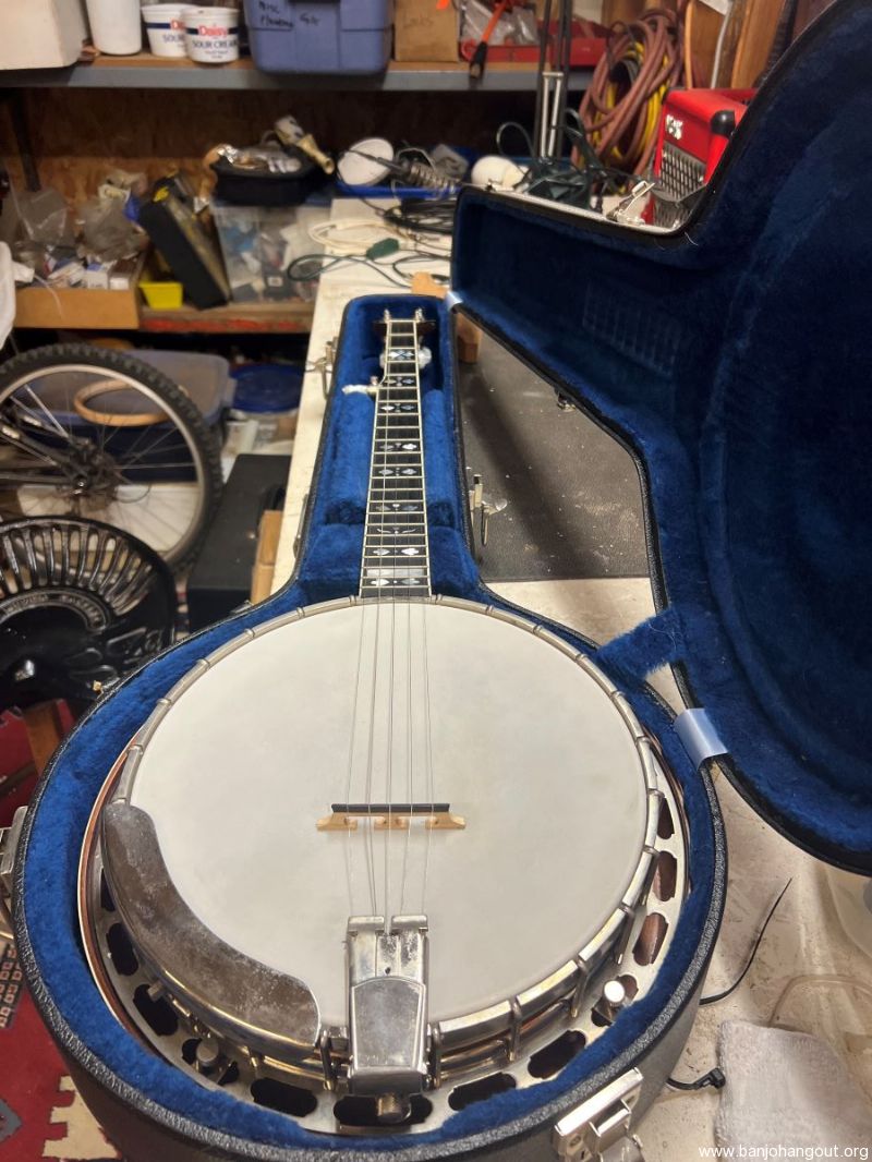 1981 gold star banjo for sale new arrivals