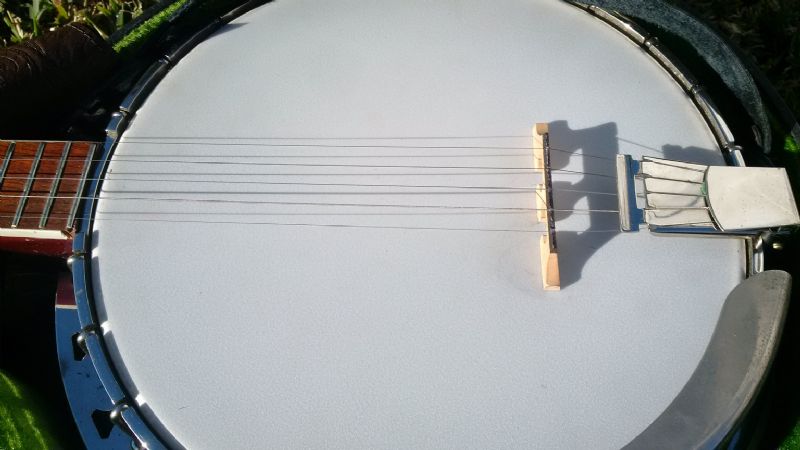 Vega Plectrum Wonder conversion pot and neck join