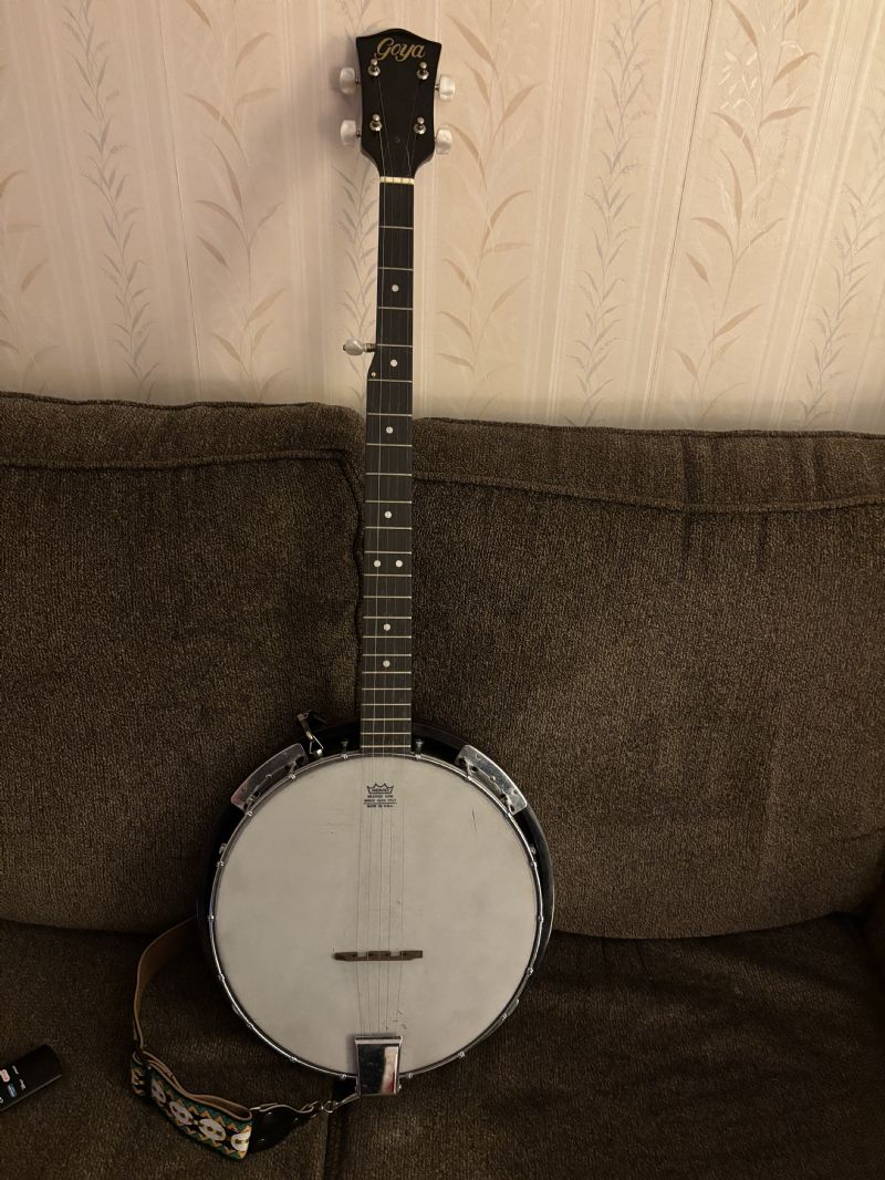 1967 Goya Norfolk Banjo Info value Discussion Forums Banjo Hangout