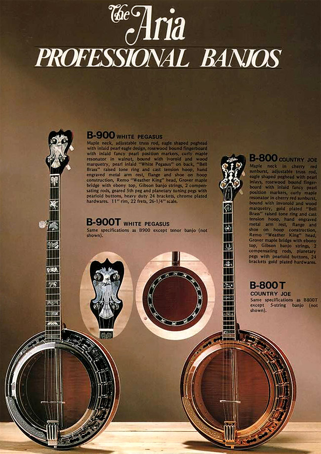 Aria tenor banjo hotsell
