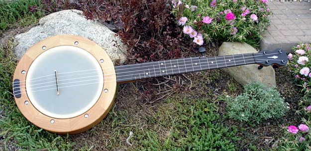 John peterson banjo deals
