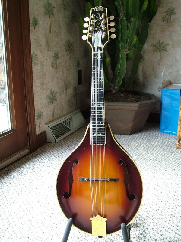 mid 70's Ome mandolin jimrichter's Photos Banjo Hangout