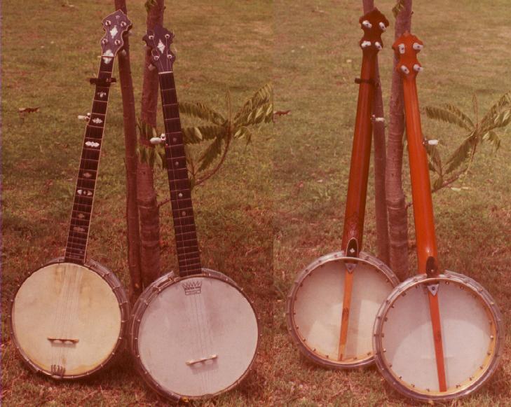 lyon and healy banjo mandolins lyon and healy banjo mandolins