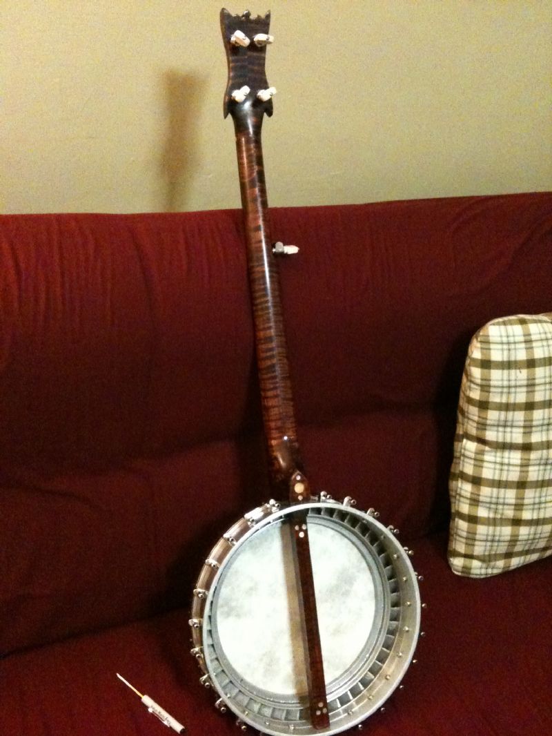 What To Do For A Snapped Banjo at Lucy Via blog