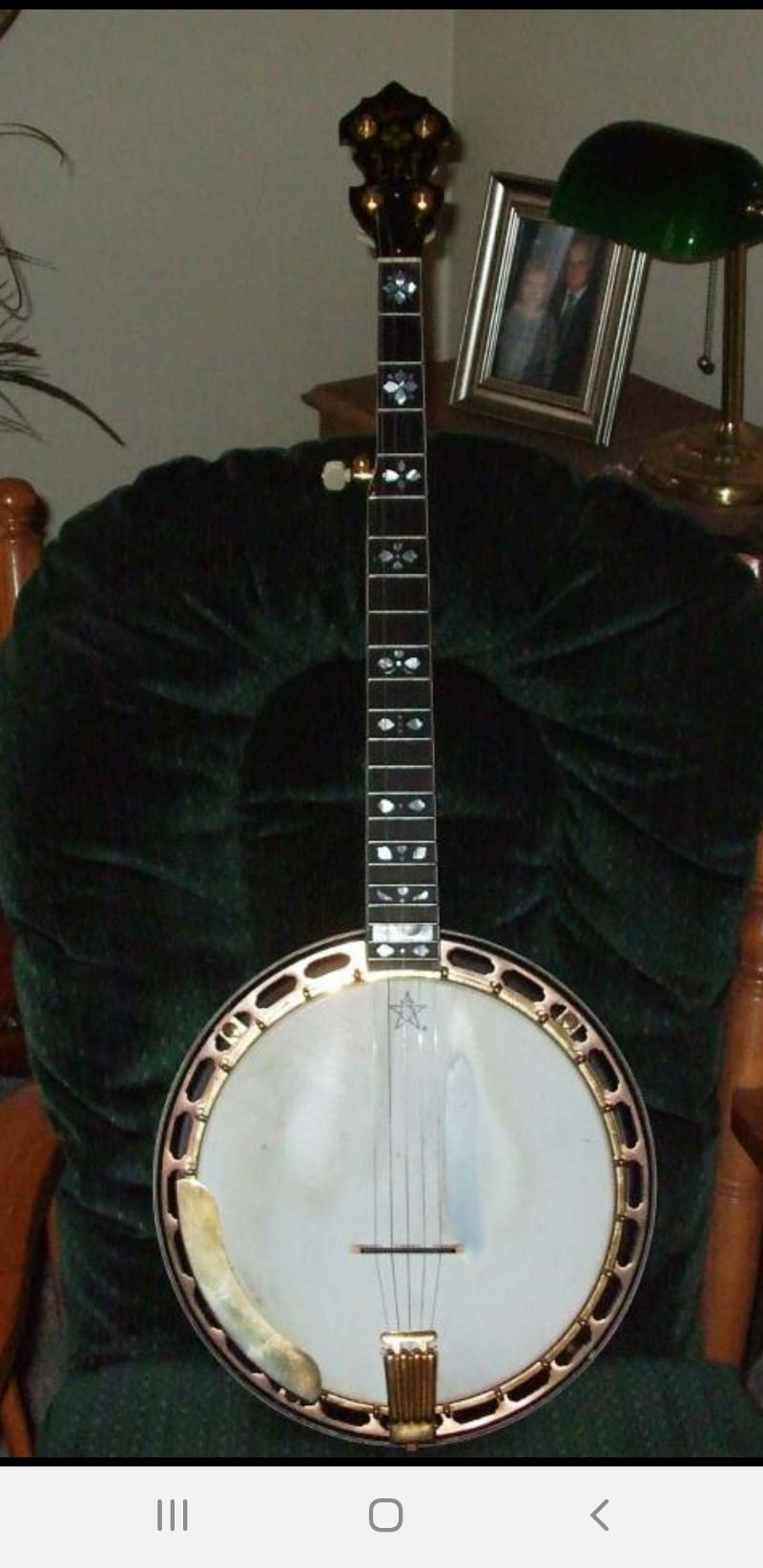 tefview banjo s tefview banjo s