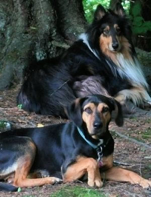 Click for Large Version