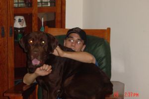 Click for Large Version