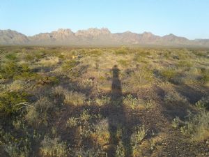 Click for Large Version