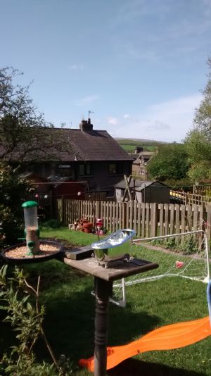 Click for Large Version