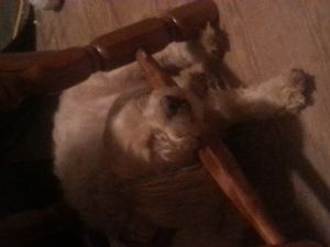 Click for Large Version