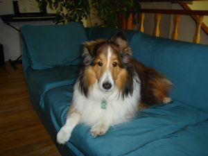 Click for Large Version