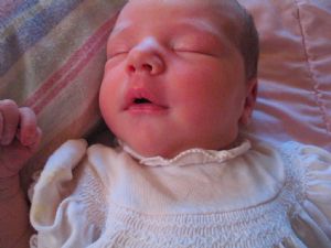 Click for Large Version