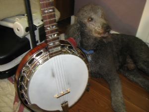 Click for Large Version