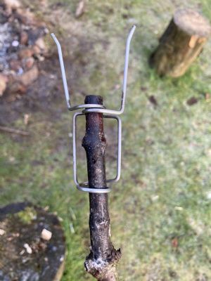 Click for Large Version