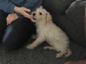 Click for Large Version