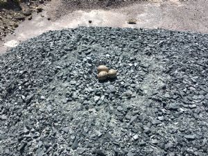 Click for Large Version