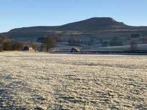 Click for Large Version