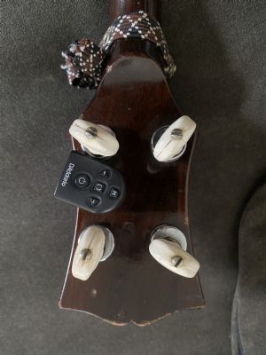 Click for Large Version