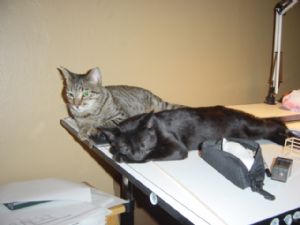 Click for Large Version