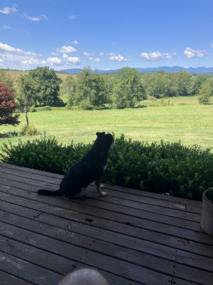 Click for Large Version