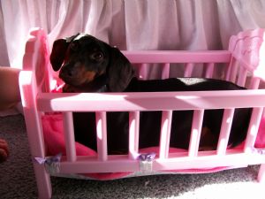 Click for Large Version