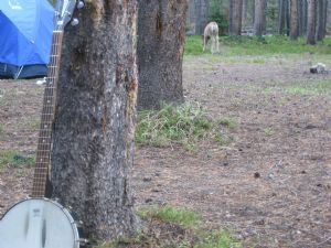 Click for Large Version