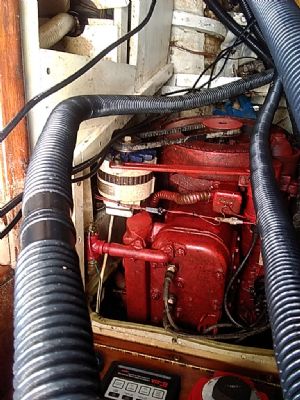 Click for Large Version