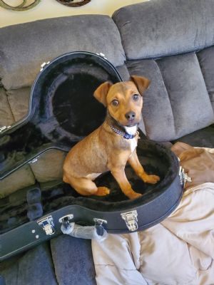 Click for Large Version