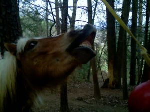 Click for Large Version