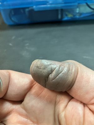 Click for Large Version