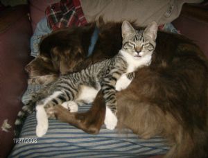 Click for Large Version