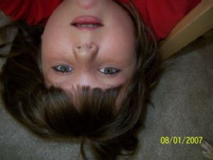 Click for Large Version