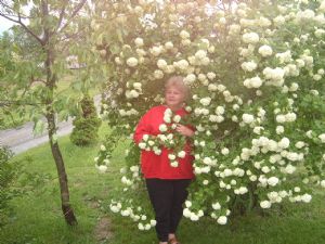 Click for Large Version