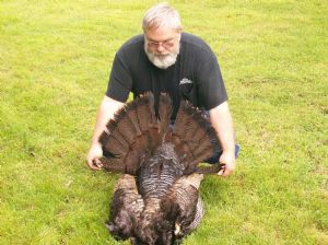 Click for Large Version