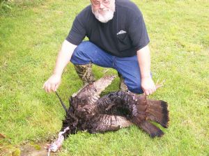 Click for Large Version