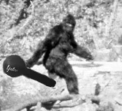 Click for Large Version