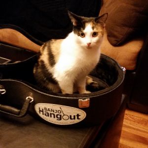 Click for Large Version